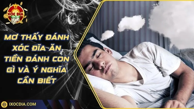 Mơ Thấy Đánh Xóc Đĩa Ăn Tiền Đánh Con Gì Và Ý Nghĩa Cần Biết