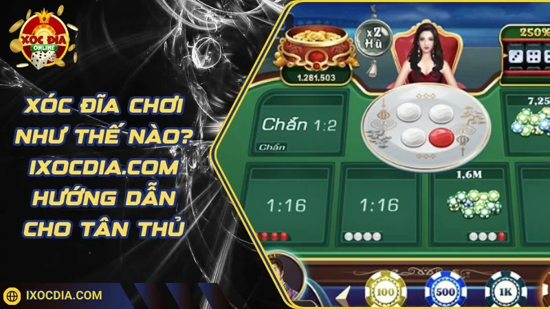 Xóc Đĩa Chơi Như Thế Nào? Ixocdia.Com Hướng Dẫn Cho Tân Thủ